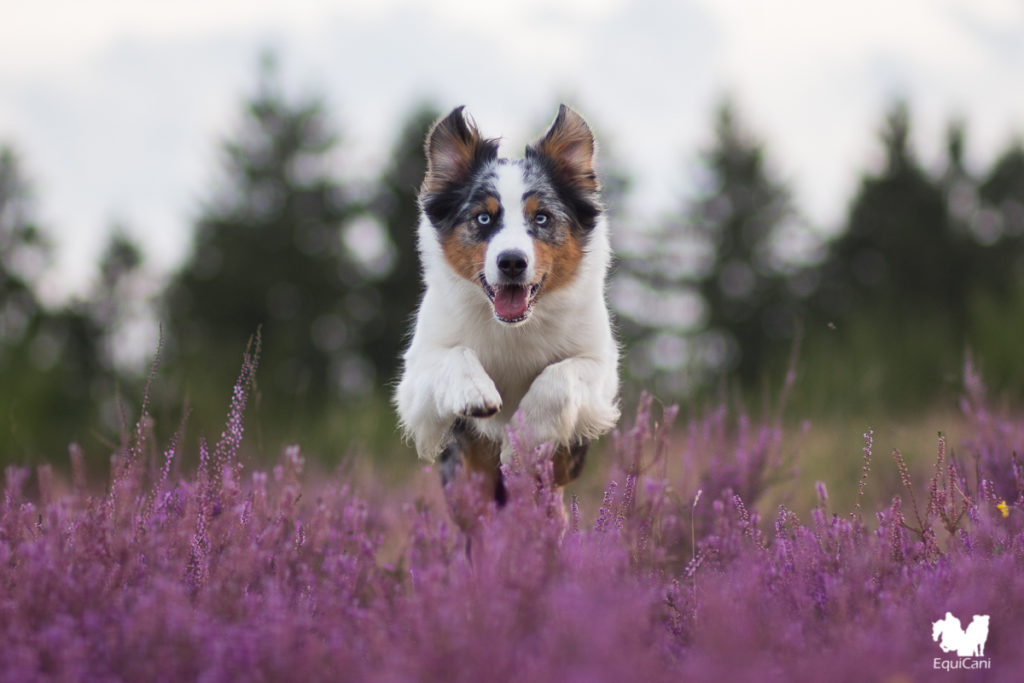 So einfach ist das Fotografieren im manuellen Modus