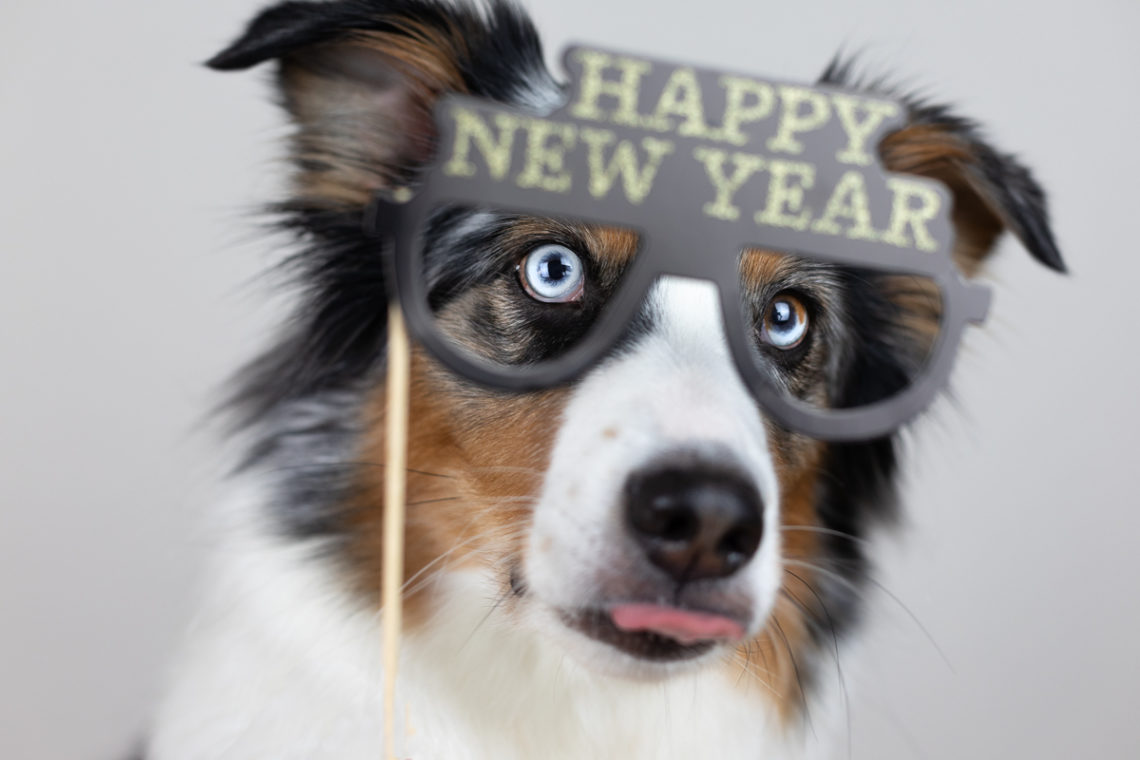 Mein persönlicher Jahresrückblick 2019