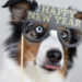 Mein persönlicher Jahresrückblick 2019